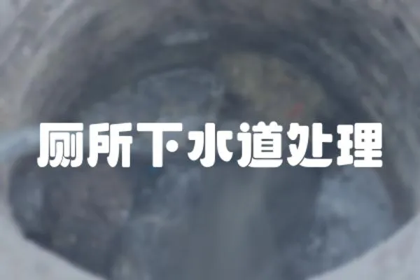 廁所下水道處理