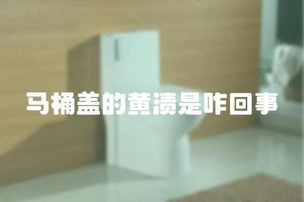 馬桶蓋的黃漬是咋回事