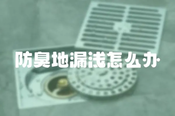 防臭地漏淺怎么辦