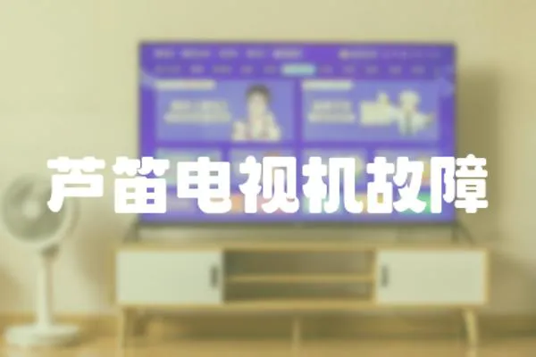 蘆笛電視機故障