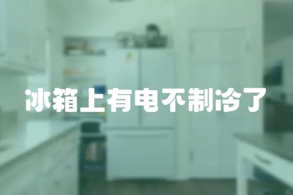 冰箱上有電不制冷了