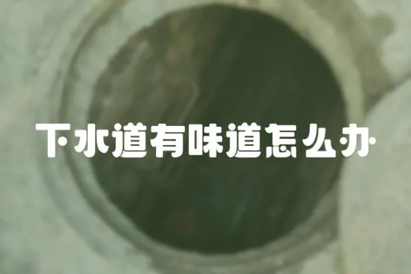 下水道有味道怎么辦