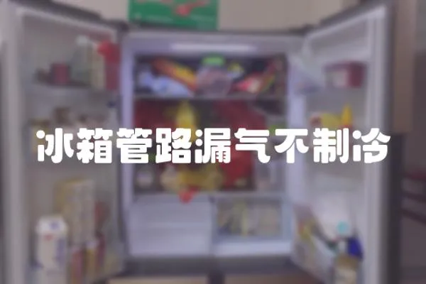 冰箱管路漏氣不制冷