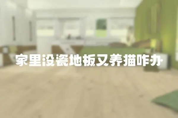 家里沒瓷地板又養貓咋辦