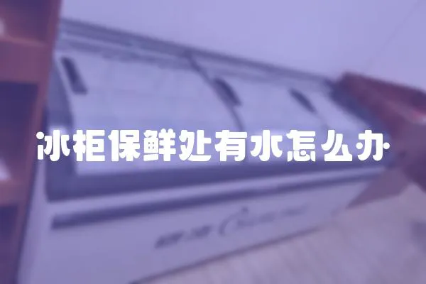 冰柜保鮮處有水怎么辦