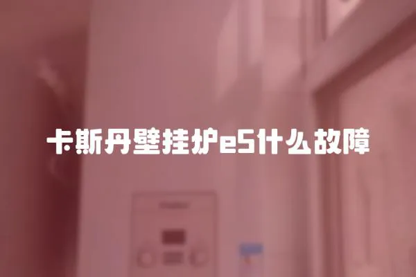 卡斯丹壁掛爐e5什么故障