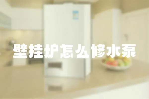 壁掛爐怎么修水泵