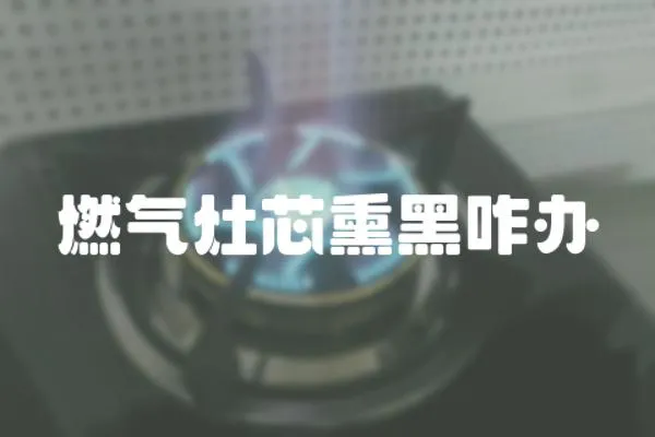 燃?xì)庠钚狙谡k