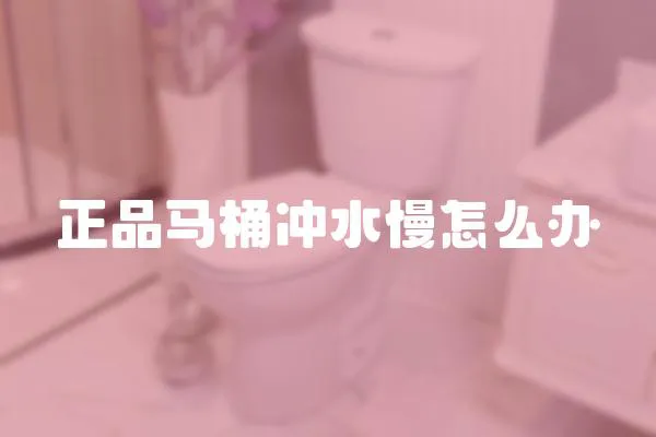 正品馬桶沖水慢怎么辦