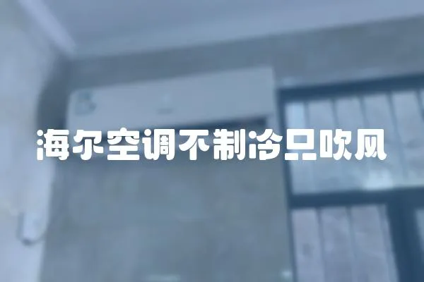 海爾空調(diào)不制冷只吹風(fēng)
