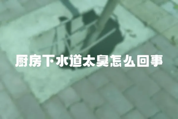 廚房下水道太臭怎么回事