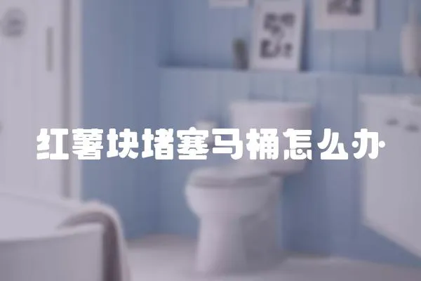 紅薯塊堵塞馬桶怎么辦