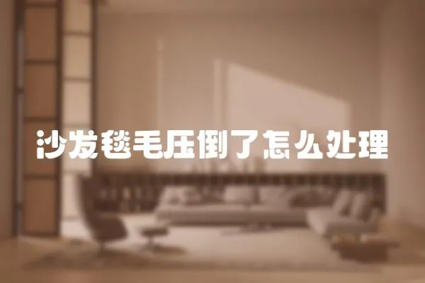 沙發(fā)毯毛壓倒了怎么處理