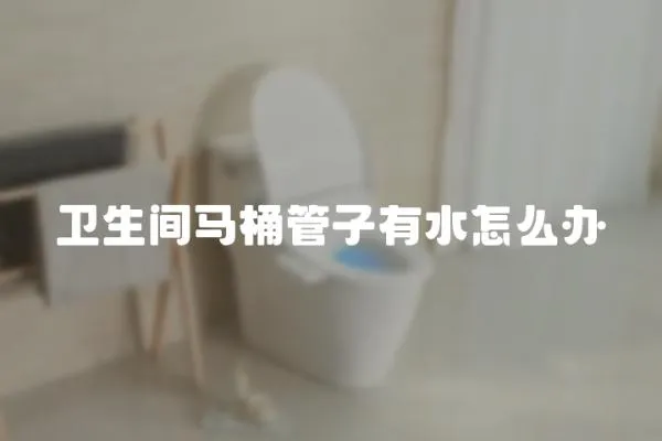 衛生間馬桶管子有水怎么辦