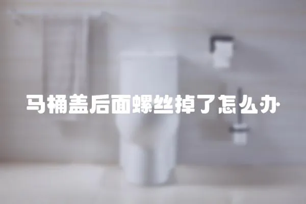 馬桶蓋后面螺絲掉了怎么辦