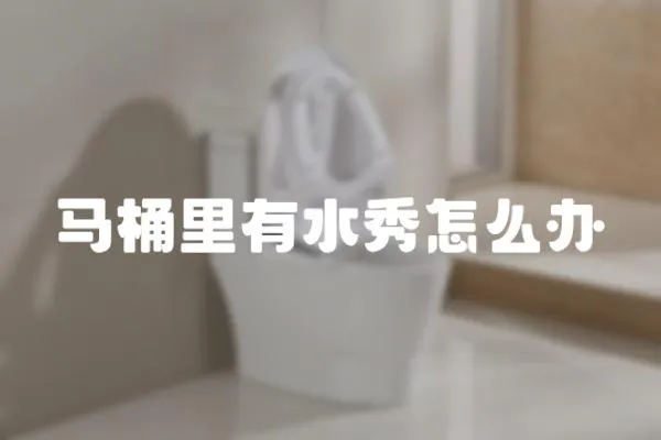 馬桶里有水秀怎么辦
