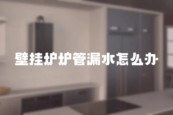 壁掛爐爐管漏水怎么辦