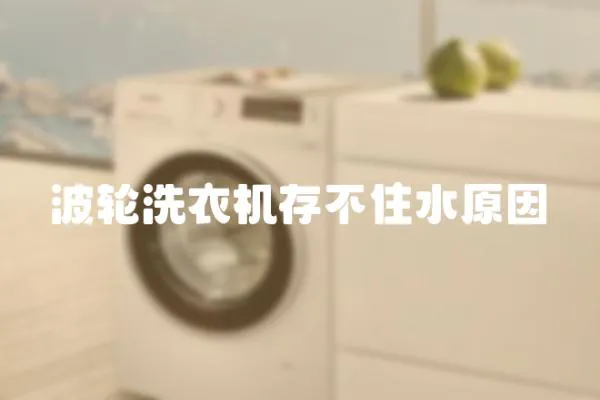 波輪洗衣機存不住水原因