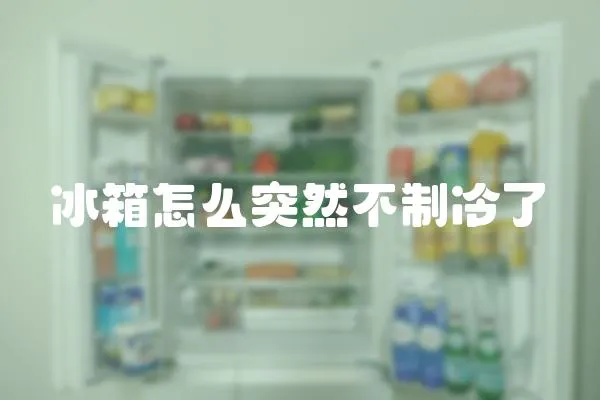 冰箱怎么突然不制冷了