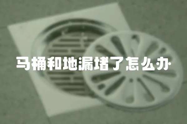 馬桶和地漏堵了怎么辦