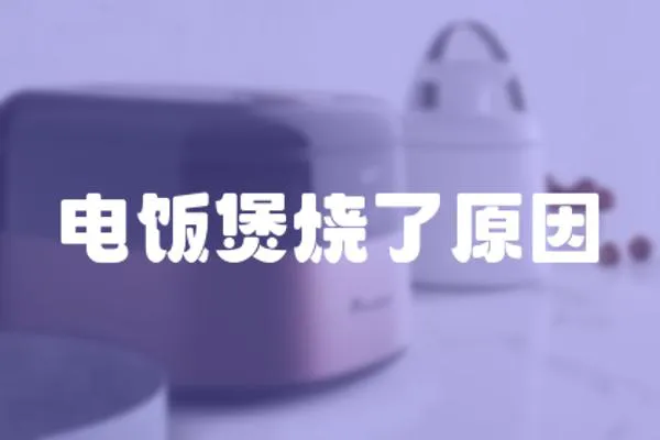 電飯煲燒了原因
