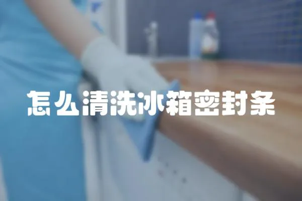 怎么清洗冰箱密封條