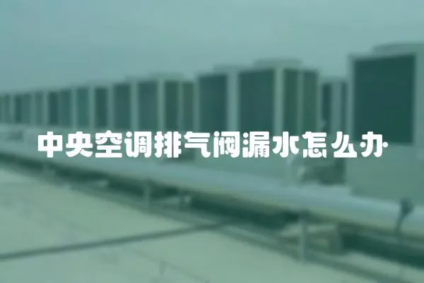 中央空調排氣閥漏水怎么辦