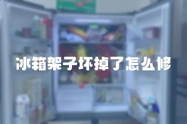 冰箱架子壞掉了怎么修
