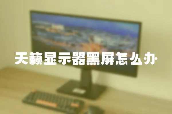 天籟顯示器黑屏怎么辦