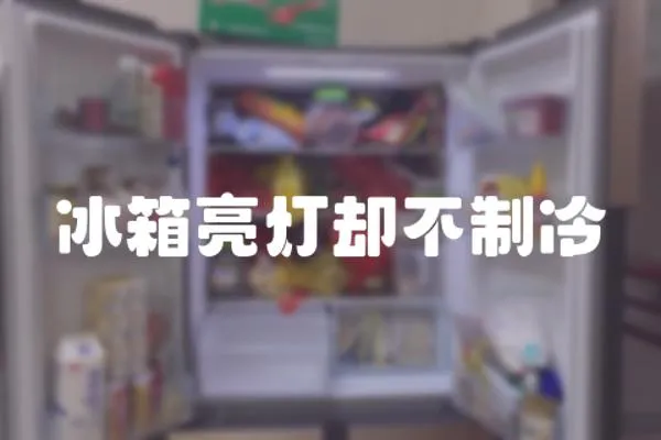 冰箱亮燈卻不制冷