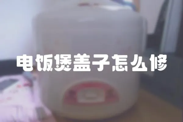 電飯煲蓋子怎么修