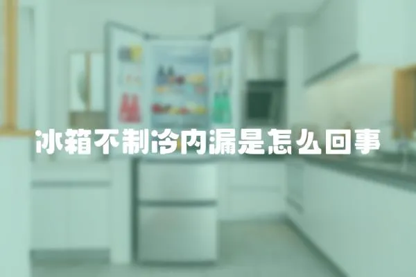 冰箱不制冷內(nèi)漏是怎么回事