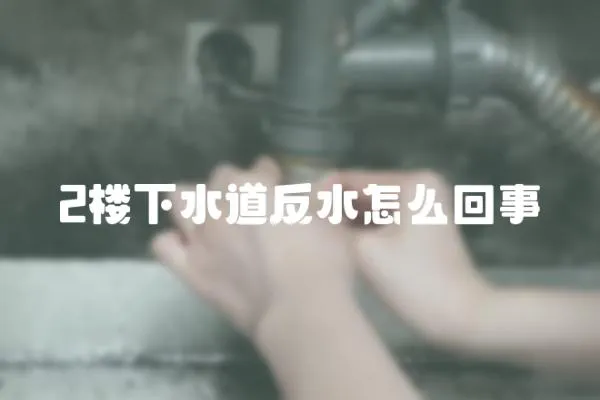 2樓下水道反水怎么回事