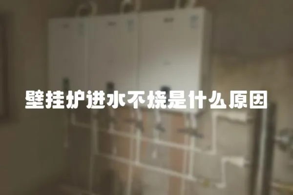 壁掛爐進(jìn)水不燒是什么原因