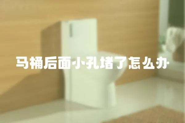 馬桶后面小孔堵了怎么辦