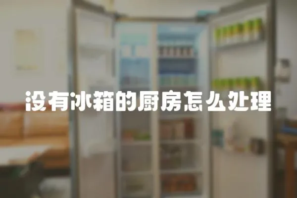 沒有冰箱的廚房怎么處理