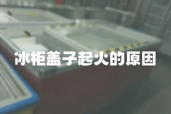 冰柜蓋子起火的原因