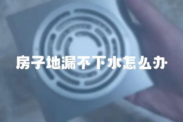 房子地漏不下水怎么辦