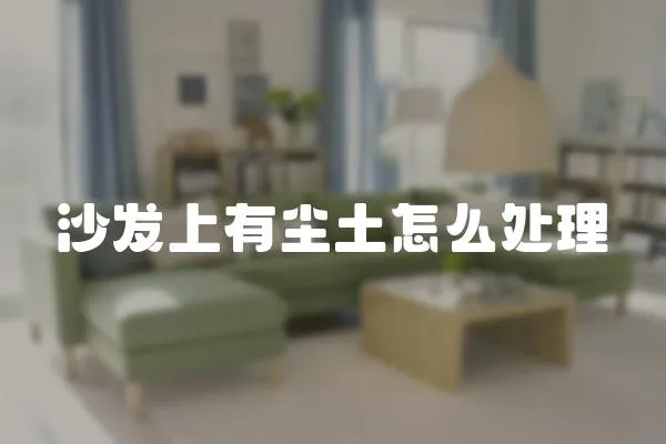 沙發(fā)上有塵土怎么處理