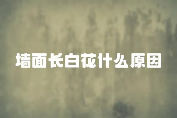 墻面長白花什么原因