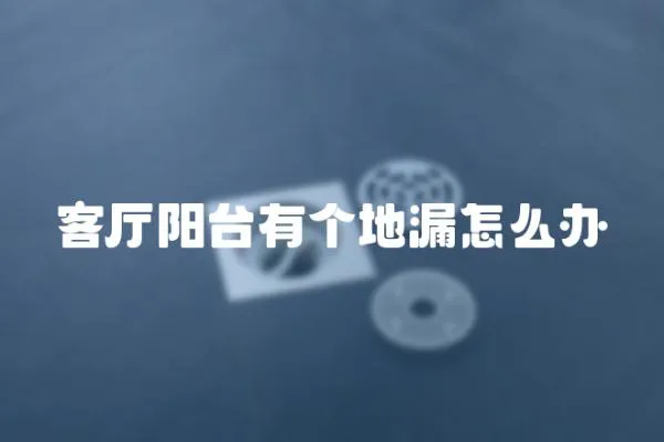 客廳陽臺有個地漏怎么辦