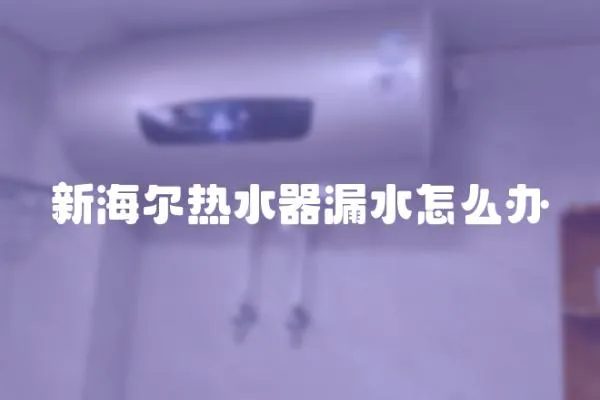 新海爾熱水器漏水怎么辦