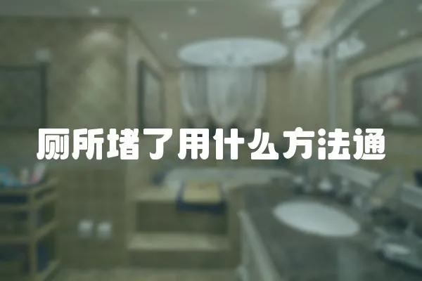 廁所堵了用什么方法通