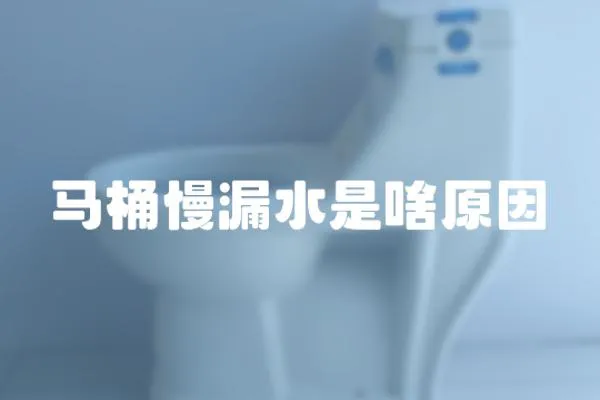 馬桶慢漏水是啥原因