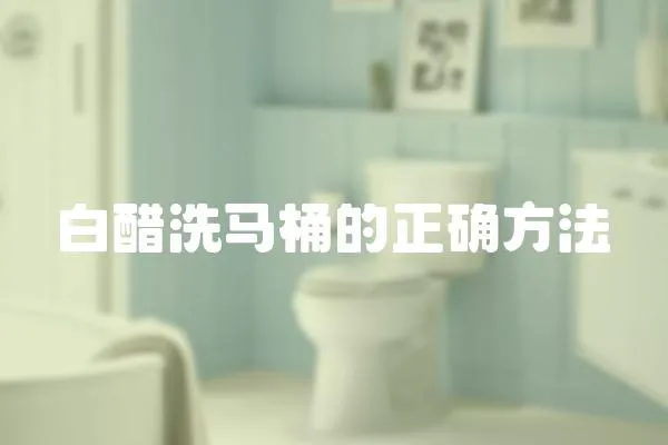 白醋洗馬桶的正確方法