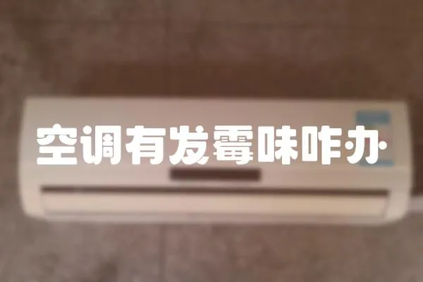 空調有發霉味咋辦
