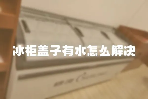 冰柜蓋子有水怎么解決