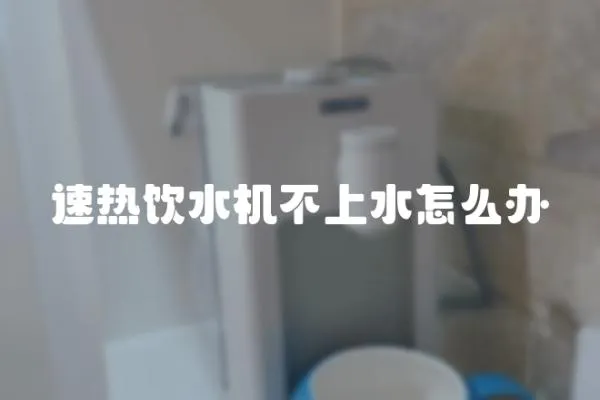 速熱飲水機不上水怎么辦