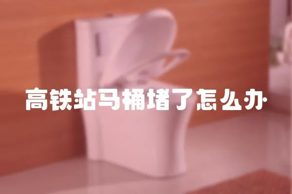 高鐵站馬桶堵了怎么辦