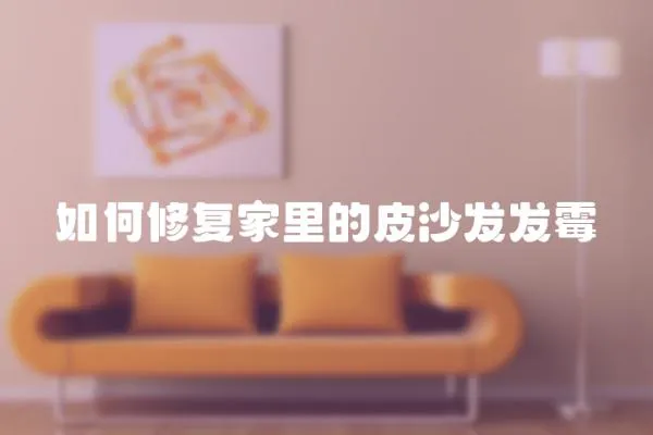 如何修復(fù)家里的皮沙發(fā)發(fā)霉